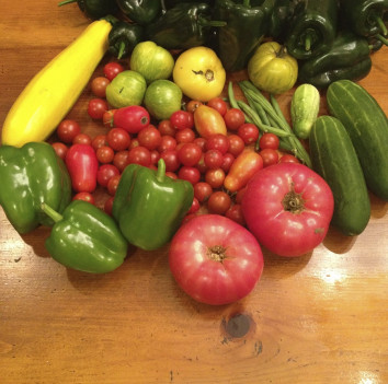 Huertos de frutas y verduras