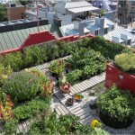 roof_garden