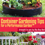 Container_Gardening_Tips_by_Big_Bag_Bed_cover_sm