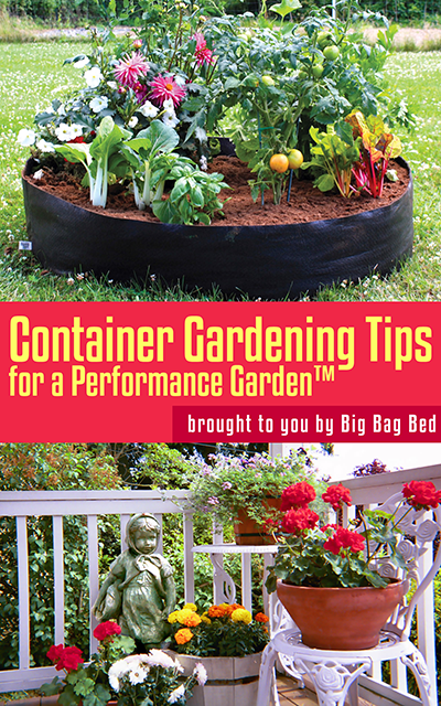 container gardening tips big bag bed