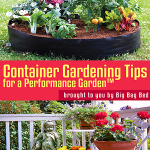 Container_Gardening_Tips_cover_sm