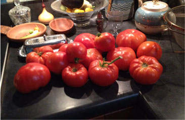 smart pot grown tomatoes