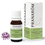 Análisis y comparativa de los geranios bourbon: descubre las mejores variedades para tu jardín