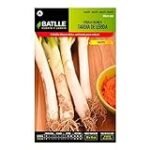 Guía completa de cebolla calçots: consejos, cuidados y comparativa de variedades