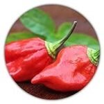 Naga Morich: Análisis y comparativa de la semilla perfecta para tu huerto