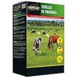Análisis y comparativa: Las mejores semillas para tu pradera