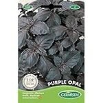 Análisis de las Mejores Semillas de Albahaca Púrpura para Tu Jardín: Descubre Cuál es la Ideal para Ti