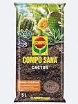 Análisis de los mejores sustratos para cactus y suculentas: ¡Descubre cuál es el ideal para tus plantas!