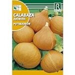 Análisis y comparativa de las mejores variedades de calabaza: potimarron, ¡descubre la ideal para tu huerto!