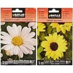 Análisis de los mejores girasoles enanos amarillos: ¡Descubre cuál es el ideal para tu jardín! Análisis de los mejores girasoles enanos amarillos: ¡Descubre cuál es el ideal para tu jardín!