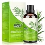 Análisis y comparativa del árbol de té en salvaslip: Todo lo que debes saber para tu jardín