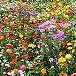Análisis comparativo de productos para el cuidado de flores y césped: ¡Descubre los mejores aliados para tu jardín! Análisis comparativo de productos para el cuidado de flores y césped: ¡Descubre los mejores aliados para tu jardín!