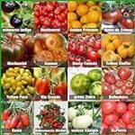 Descubre las Maravillas de las Semillas Antiguas: Análisis y Comparativa en Jardinería y Agricultura