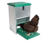 Análisis y comparativa de las mejores tolvas para gallinas: ¡Optimiza la alimentación de tus aves!