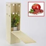 Análisis y comparativa: ¿Dónde comprar el mejor granado mollar de Elche para tu jardín? Análisis y comparativa: ¿Dónde comprar el mejor granado mollar de Elche para tu jardín?