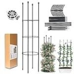 Análisis comparativo: ¿Dónde comprar las mejores plantas de tomate para tu huerto?