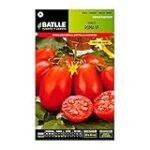 Análisis de las variedades de tomate roma: descubre cuál es el mejor para tu huerto