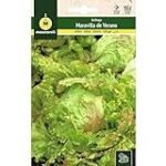 Análisis de la lechuga maravilla: Descubre los mejores productos para su cultivo en jardinería