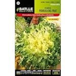 Guía de compra: Las mejores semillas de lechuga de verano para tu huerto Guía de compra: Las mejores semillas de lechuga de verano para tu huerto