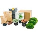Guía de las Mejores Plantas para Terrarios: Análisis y Comparativa