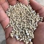 Abono 15-15-15 para almendros: Análisis y comparativa de los mejores productos para una nutrición óptima en tu cultivo