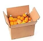 Título: Análisis y comparativa de los mejores productos para el cultivo del naranjo en valenciano