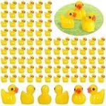 Guía de compra: Patos pequeños ideales para tu jardín o granja