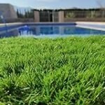 Análisis y comparativa: ¿Cuál es el mejor césped de 40mm para tu jardín?