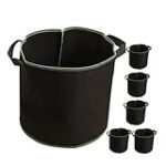 Guía completa: ¿En qué mes se siembran las patatas? Mejores productos de jardinería y agricultura