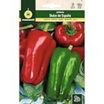 Análisis de tiempos de germinación de pimientos: ¿Cuánto tardan en brotar tus semillas?