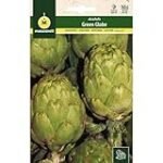 Todo lo que necesitas saber sobre los esquejes de alcachofa: análisis y comparativa de las mejores técnicas de propagación en jardinería