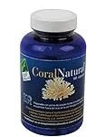 Guía de compra: todo lo que necesitas saber sobre el coral mineral para potenciar tu jardín y cultivos