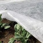 Los mejores protectores para plantas: análisis y comparativa en jardinería y agricultura