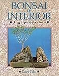 Guía de bonsáis de interior para principiantes: análisis y comparativa de los mejores productos de jardinería