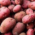 Sembrar patatas: ¿enteras o partidas? Análisis y comparativa de técnicas en jardinería y agricultura