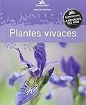 Guía de vivaces plantas: análisis y comparativa de los mejores productos para tu jardín