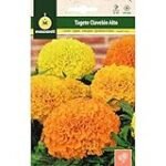 Todas las claves sobre las semillas de tagetes: análisis y comparativa de las mejores opciones para tu jardín