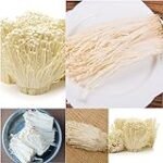 Enoki: Guía de compra para cultivar los mejores hongos en casa