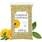 Caléndula: ¿Necesita Sol o Sombra? Guía de Cultivo y Cuidados en el Jardín