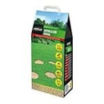 Análisis y comparativa: Semilla de césped de 5kg, la mejor opción para tu jardín