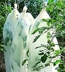 Guía de los mejores productos para potenciar el brote de tomate en tu jardín