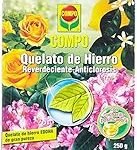 Análisis de los mejores quelatos de hierro para naranjos: ¡Potencia el crecimiento de tus cítricos!