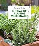 Guía completa sobre la asociación de plantas: ¿Cómo elegir las mejores combinaciones para tu jardín o huerto?