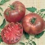 Análisis de la variedad de tomate Cherokee Purple: Todo lo que necesitas saber para cultivarla en tu jardín