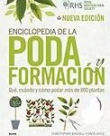 Guía de los Mejores Productos: Árboles Frutales, ¿Cuándo es el Mejor Momento para Plantarlos?