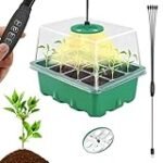 Todo lo que necesitas saber sobre cómo germinar berenjenas en macetas: análisis y comparativa de los mejores métodos