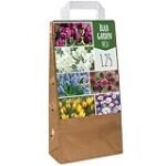 Análisis y comparativa de los mejores bulbos de primavera y verano: Guía para un jardín floreciente.