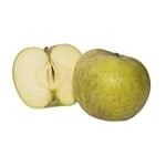 Análisis de las Mejores Variedades de Manzana Reineta para tu Jardín: Descubre cuál es la Mejor Opción para Cultivar Análisis de las Mejores Variedades de Manzana Reineta para tu Jardín: Descubre cuál es la Mejor Opción para Cultivar