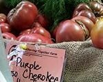 Análisis de opiniones sobre el tomate Cherokee: ¿El mejor producto para tu jardín?