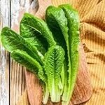 Guía definitiva: Cómo plantar lechuga en macetas - Análisis y comparativa de los mejores productos para cultivar en tu hogar